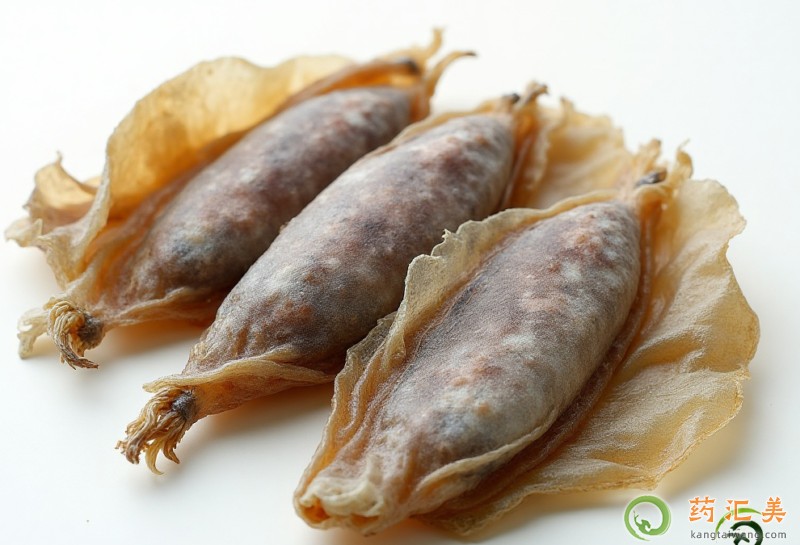 胰腺炎可以吃干墨魚(yú)嗎