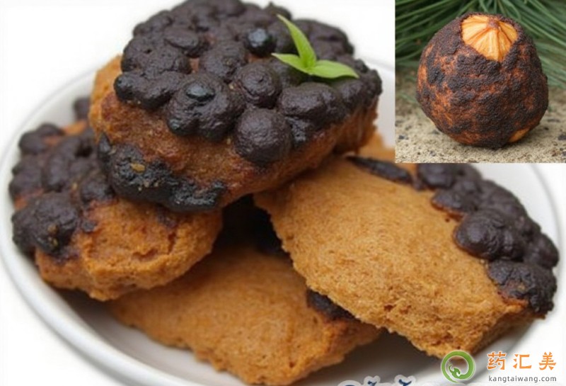 胰腺炎可以吃樺樹茸嗎