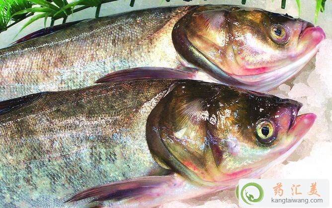 胃炎吃胖頭魚好 胃炎吃胖頭魚好