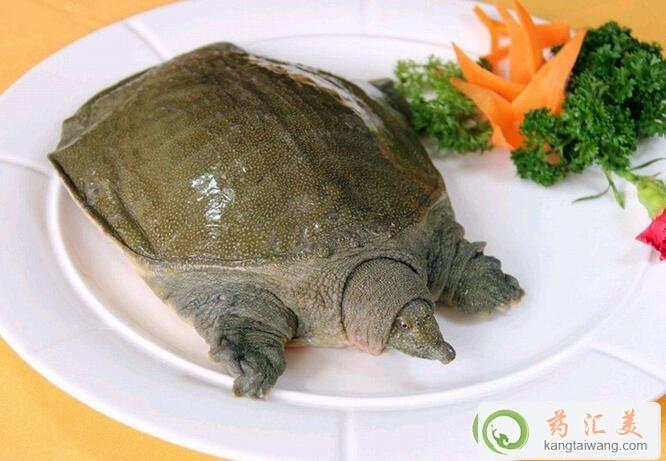 甲魚和什么食物相克不能一起吃 甲魚和什么食物相克不能一起吃