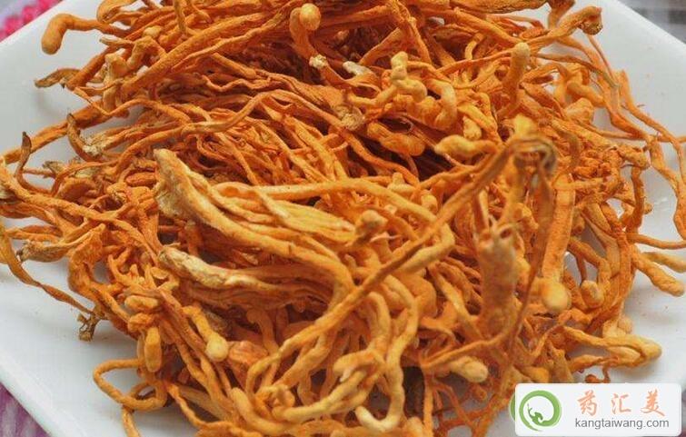 北蟲草的食用方法介紹 北蟲草的食用方法介紹